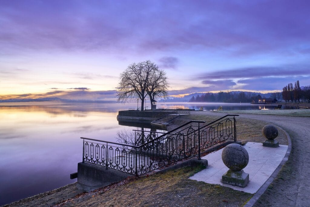 Home 6 Tranquil dawn at Waging am See in Germany, showcasing a serene landscape with a solitary tree by the lake.